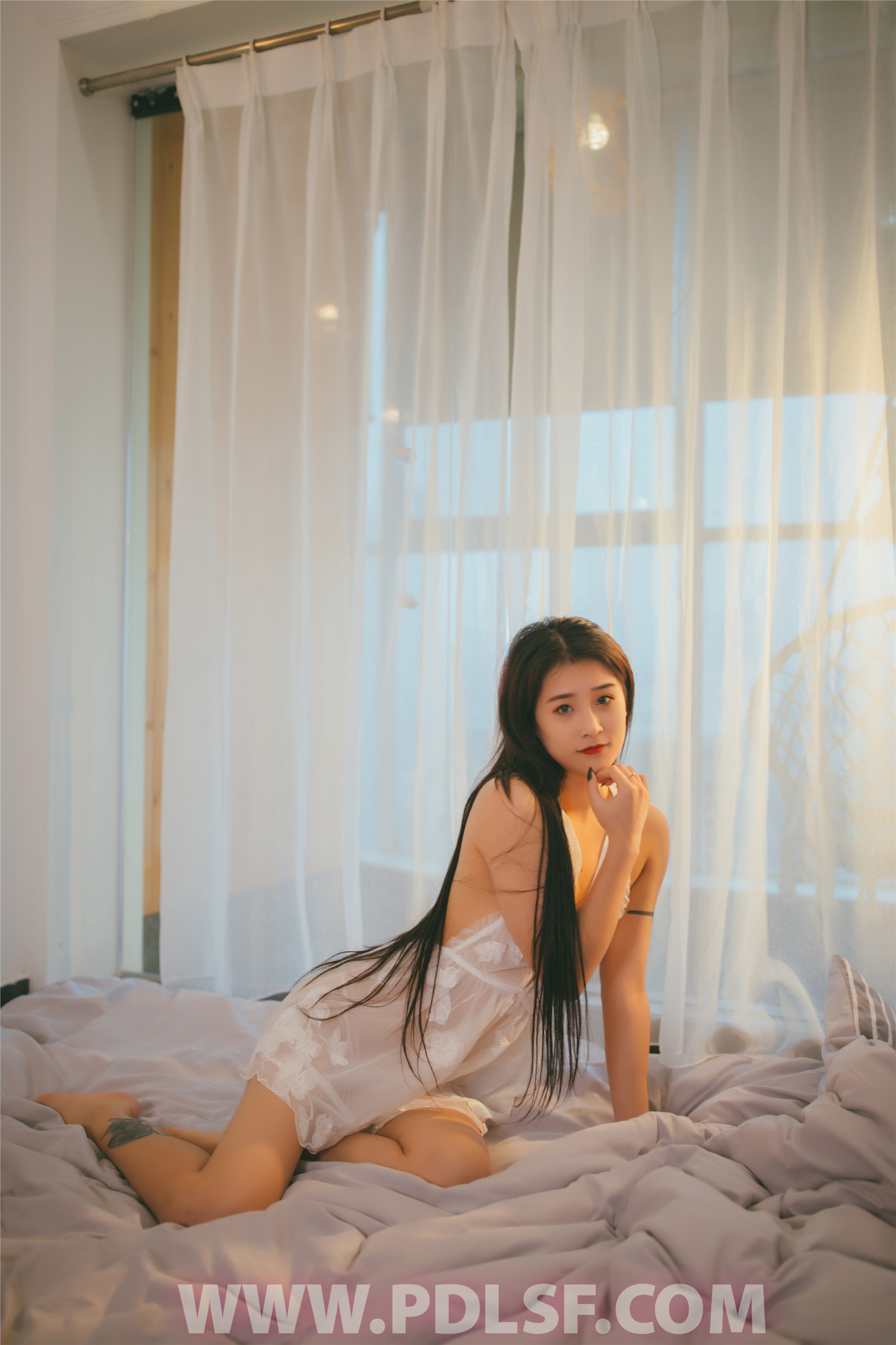 PDL潘多拉 2019.12.26 专辑No.258